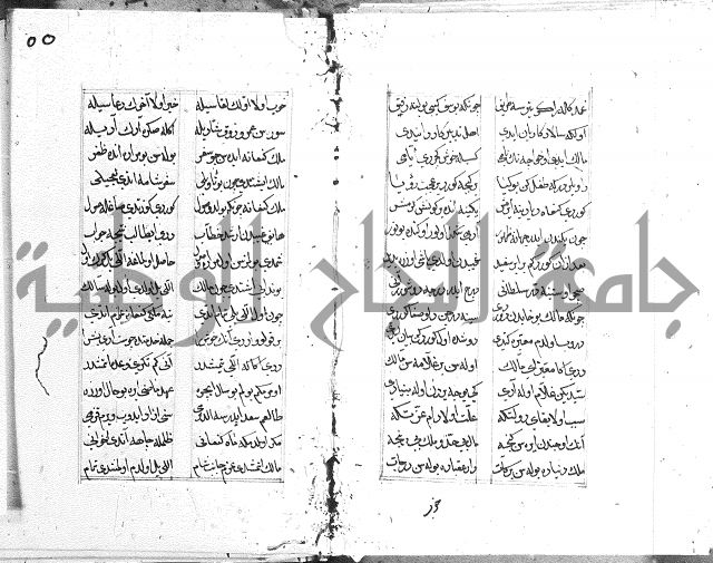 كتاب يوسف زليخا المؤلف 