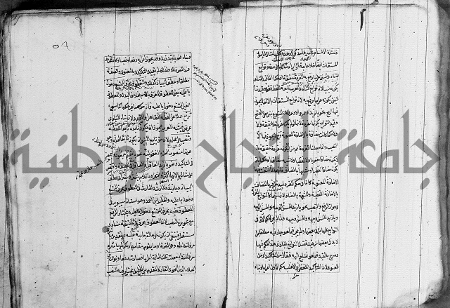 فوائد على الكافية 