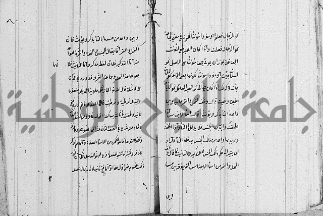 شرح الانموذج