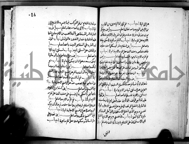 الفتاوى الامينية