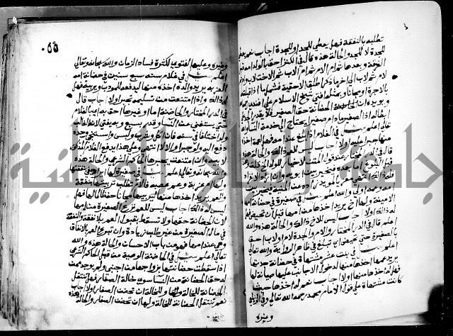 فتاوى احمد زائد الغزي 