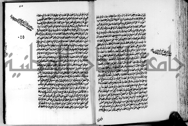 الجواهر الدورية في تنقيح الفتاوى الحامدية ج2 