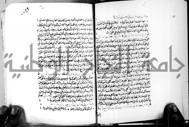 البحر الفائض في شرح ديوان ابن الفارض البوريني 