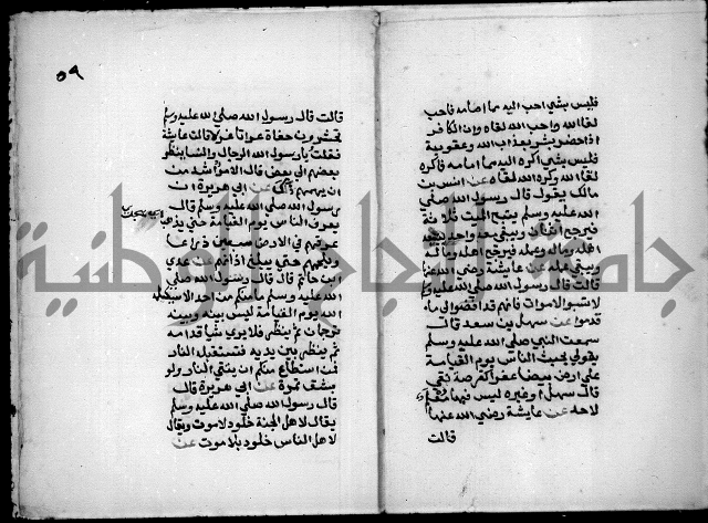 مختصر صحيح البخاري = جمع النهاية في بدء الخير والغاية