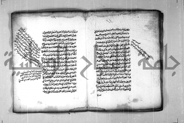 شرح الهمزية  