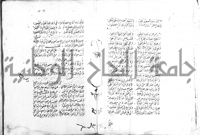 كتاب في الادب 