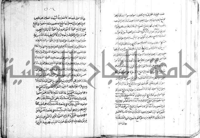 الانتاج المؤلف 