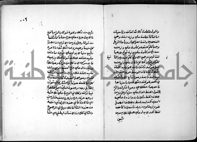 شرح شذور الذهب في معرفة كلام العرب 