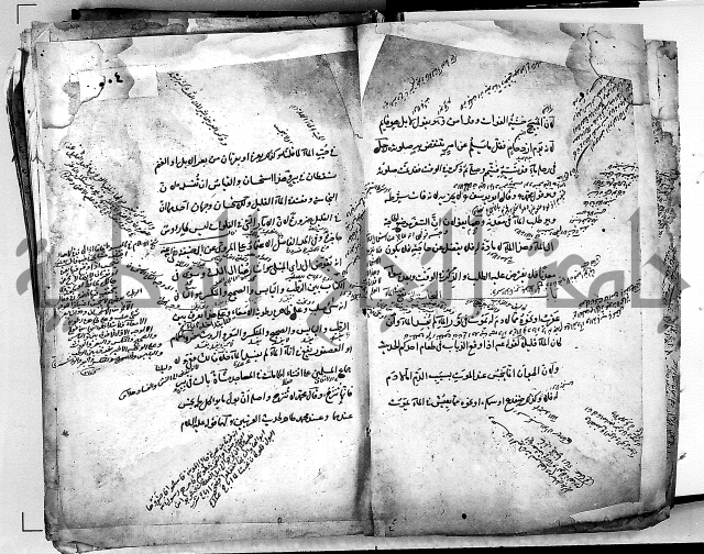 مذهب ابي حنيفة في الفقة