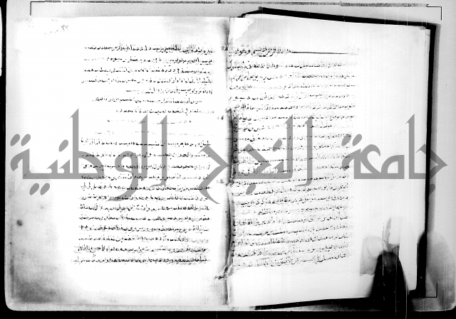 البحر الفائض في شرح ديوان ابن الفارض البوريني 