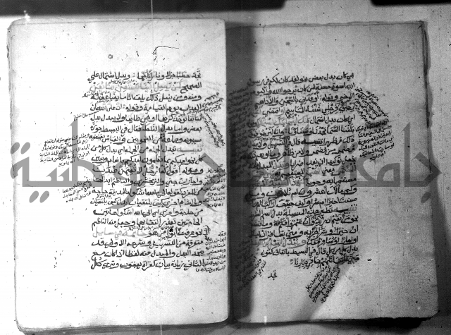 شرح الاشموني على الافية