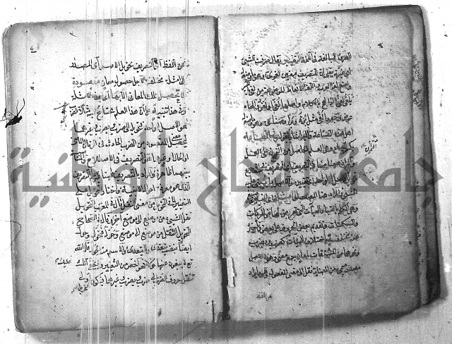 التفنن في الصرف