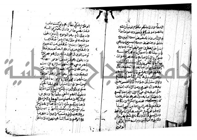 منية المصلي للنصراوي