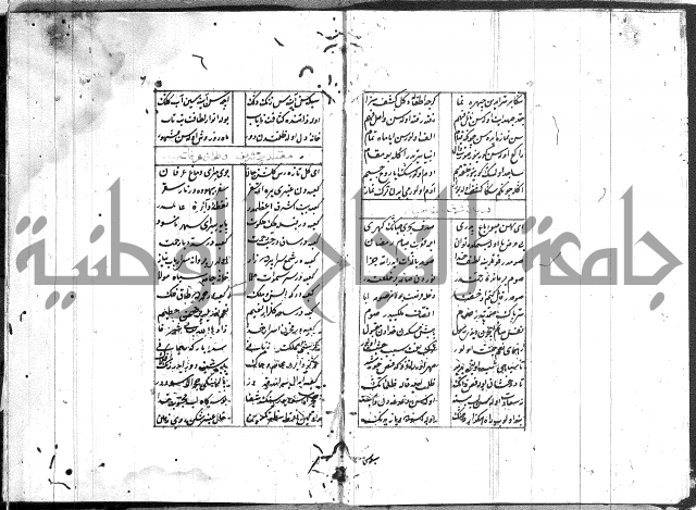 نظم تركي
