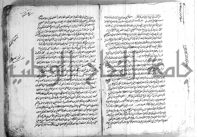 فتاوي تركية