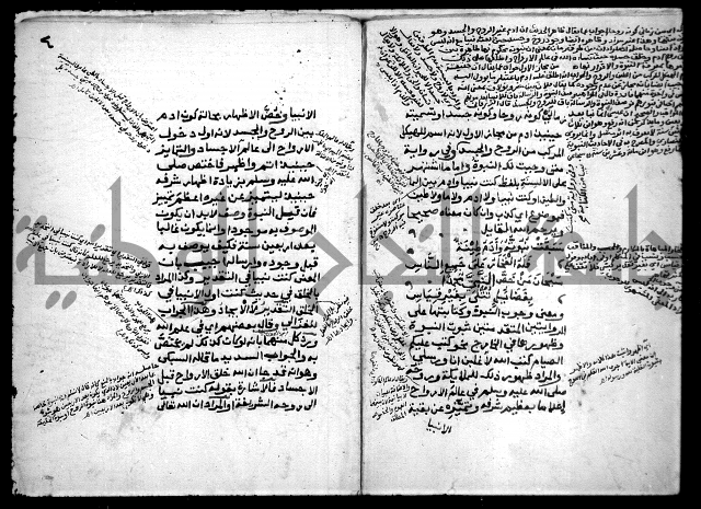 مولد النبي 