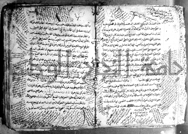 المواشح على الكافية