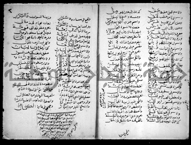منظومة في اللغة العربية