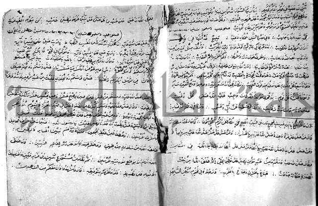مولد النبي المصطفى
