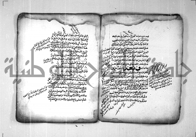 شرح الهمزية  