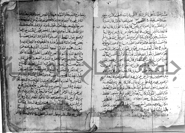 صفوة الصفوة ج 1 