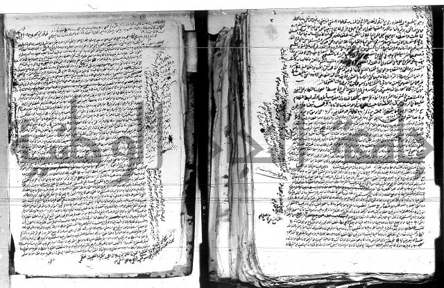 الفتاوى الحسينية