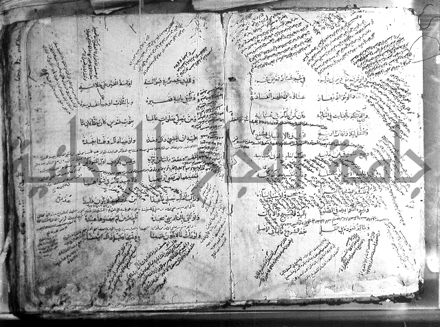 فقة حنفي 