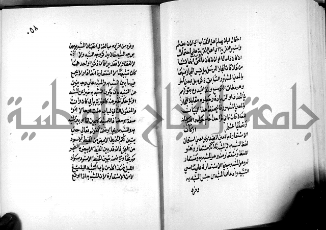 الرسالة البيانية