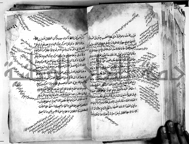 مذهب ابي حنيفة في الفقة