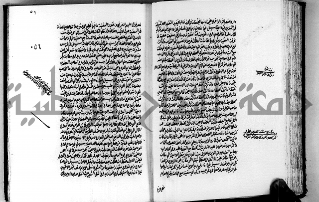 الجواهر الدورية في تنقيح الفتاوى الحامدية ج2 