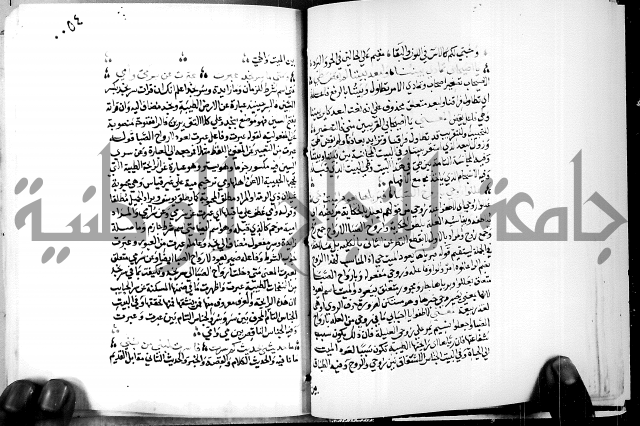 البحر الفائض في شرح ديوان ابن الفارض البوريني 