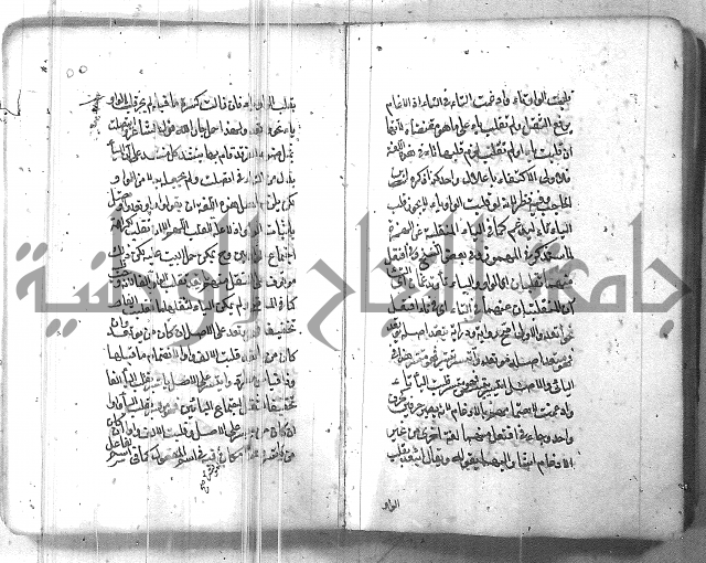 التفنن في الصرف