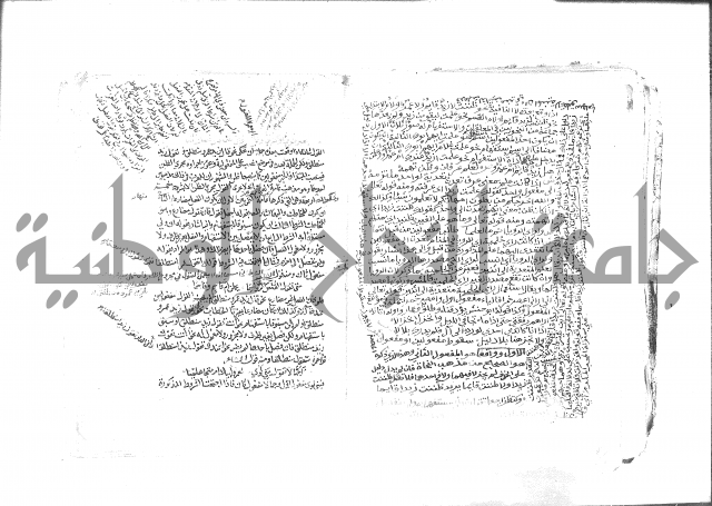 كتاب شرح الألفية للعلامة بن عقيل