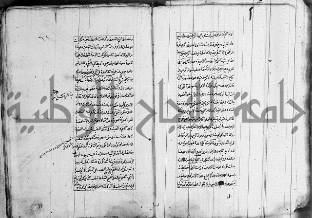 فوائد على الكافية 