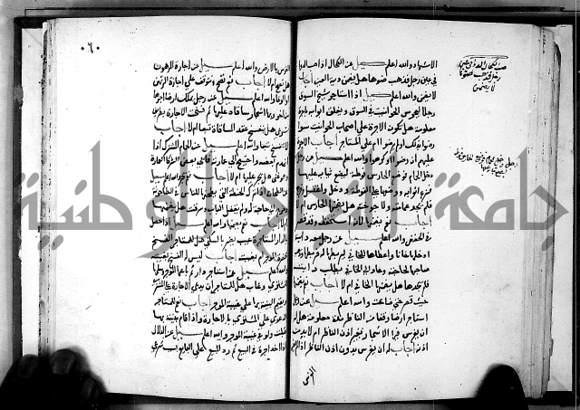 الفتاوى الامينية