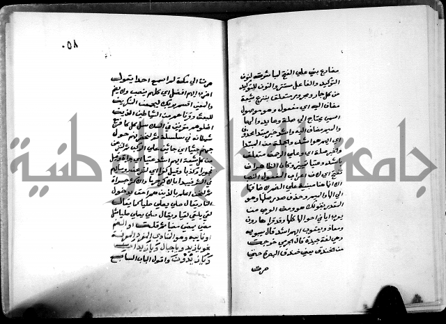 شرح شذور الذهب في معرفة كلام العرب 