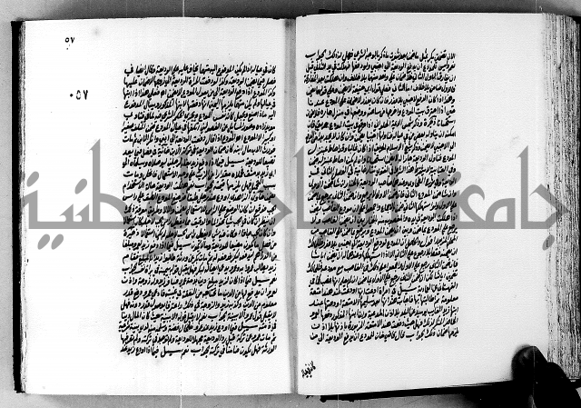 الجواهر الدورية في تنقيح الفتاوى الحامدية ج2 