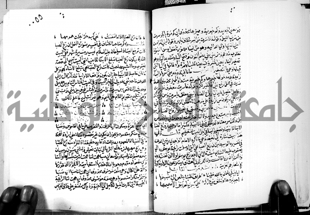 البحر الفائض في شرح ديوان ابن الفارض البوريني 