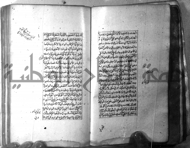 شرح الشافية 