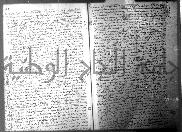 فيض الانهر على ملتقى الاكبر ج2 