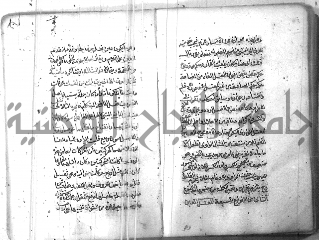 التفنن في الصرف