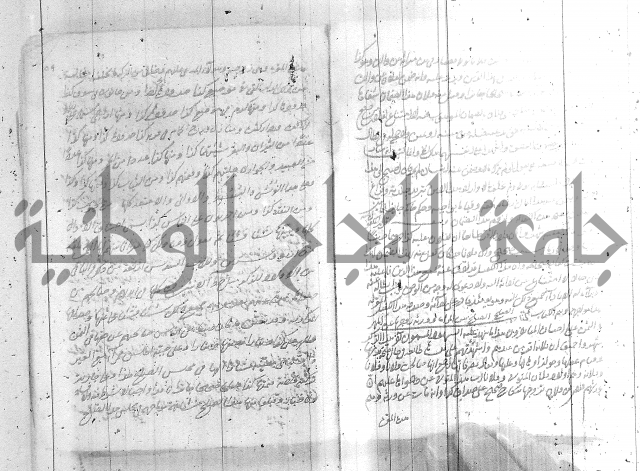 البسيط في الشروط