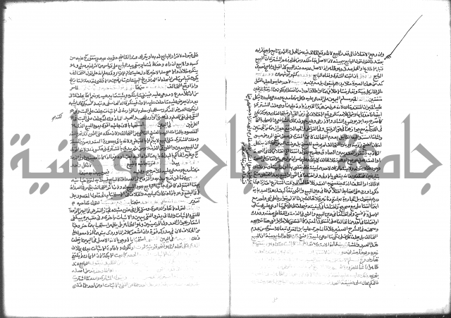 شرح الرملي 2