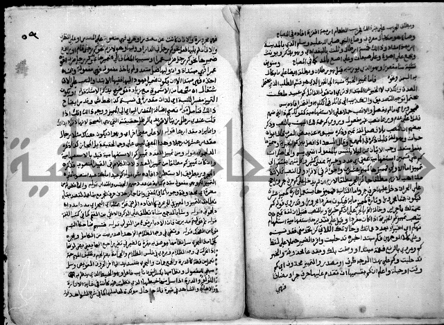 حاشية السجاعي على شرح قطر الندى وبل الصدى لابن هشام