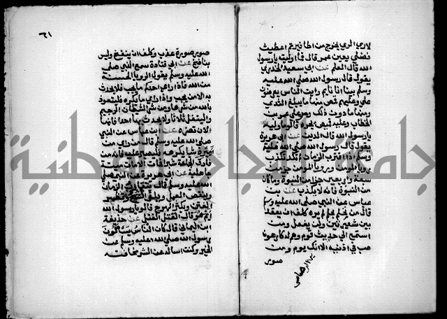 مختصر صحيح البخاري = جمع النهاية في بدء الخير والغاية