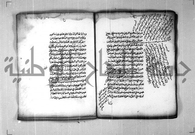 شرح الهمزية  