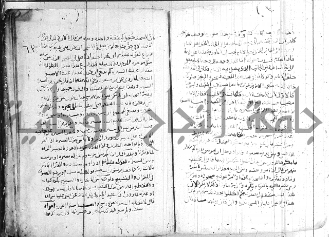 الفتاوى الولوالجية  