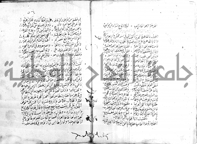 كتاب في الادب 