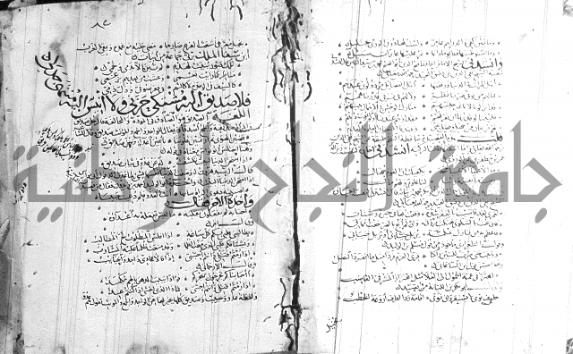 شرح لامية العجم 