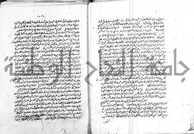 كتاب في اللغة العربية